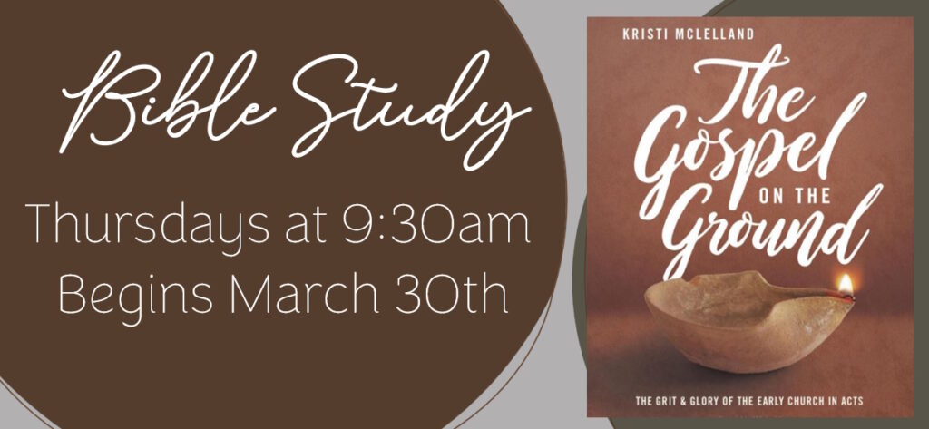 Bible Study